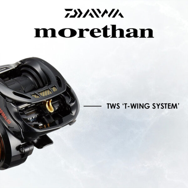 DAIWA MORETHAN 2019 FISHING REEL BAITCASTING HEAVY LURE MESIN PANCING BC LAUT SEA READY TOMAN BASS - Image 3