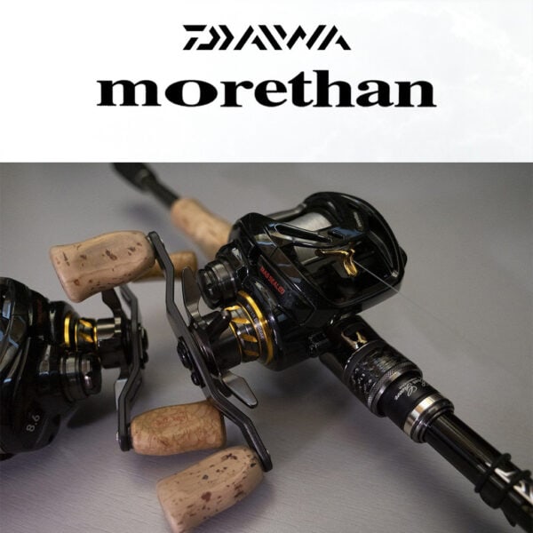 DAIWA MORETHAN 2019 FISHING REEL BAITCASTING HEAVY LURE MESIN PANCING BC LAUT SEA READY TOMAN BASS - Image 8