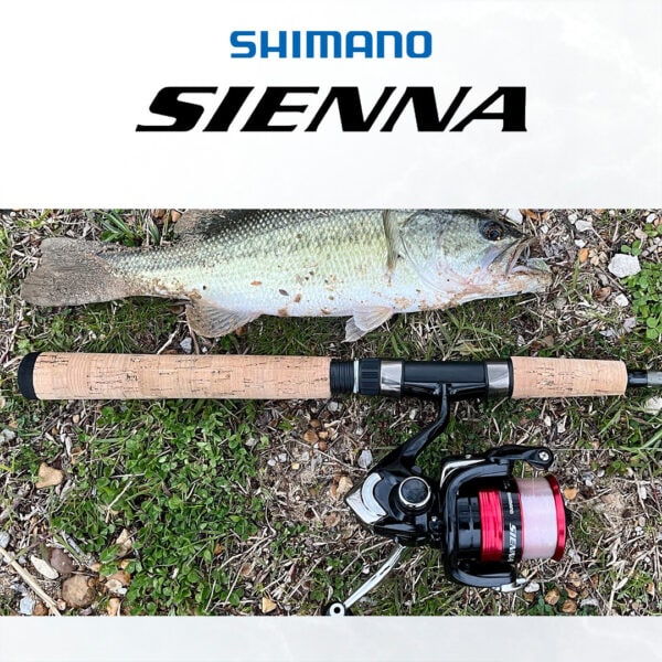 SHIMANO SIENNA 2019 - Image 8