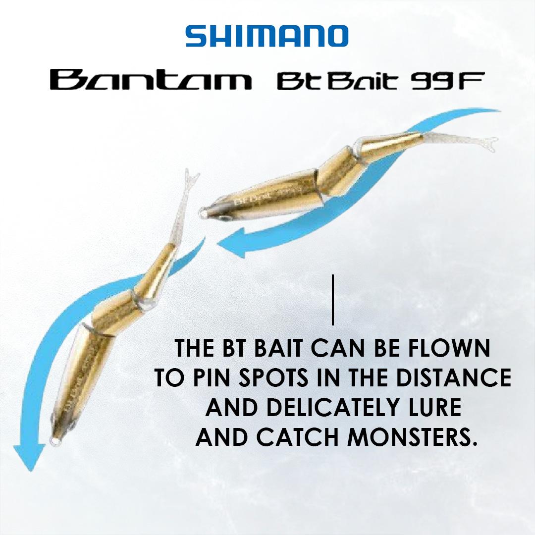 SHIMANO BT BAIT 99 BANTAM BT LURE 99MM 7G TOP WATER PENCIL CASTING GEWANG - Image 4