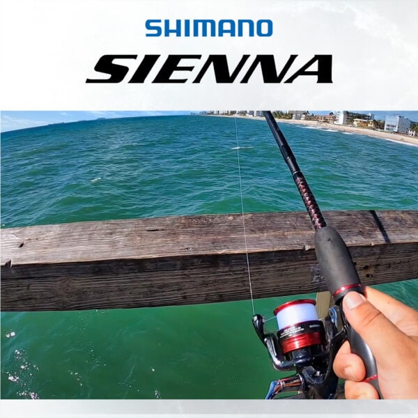 SHIMANO SIENNA 2019 - Image 7