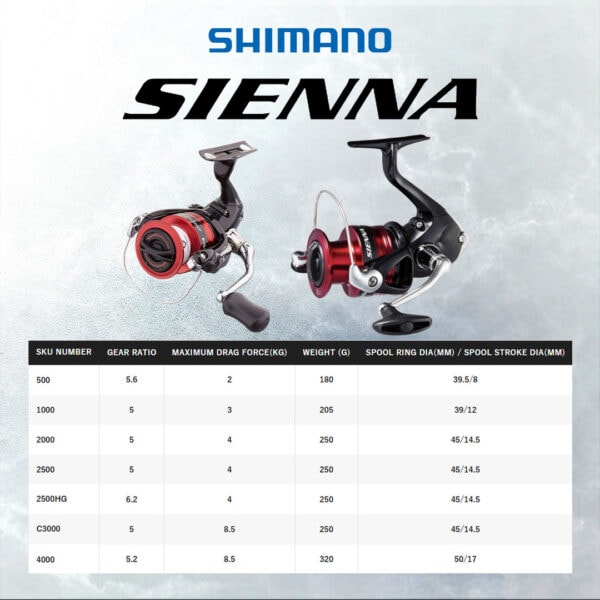 SHIMANO SIENNA 2019 - Image 9