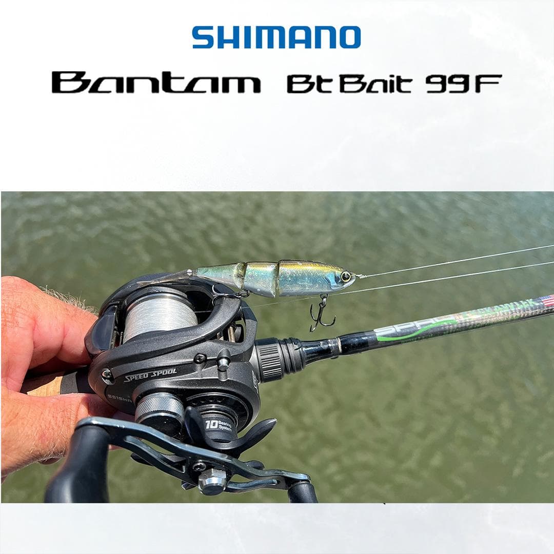 SHIMANO BT BAIT 99 BANTAM BT LURE 99MM 7G TOP WATER PENCIL CASTING GEWANG - Image 8