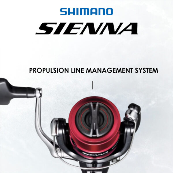 SHIMANO SIENNA 2019 - Image 3